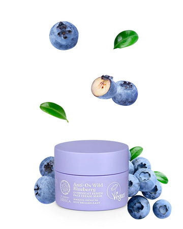 Anti-Ox Wild Blueberry Overnight Renew Face Cream-Mask Κρέμα Μάσκα Νύχτας Packshot